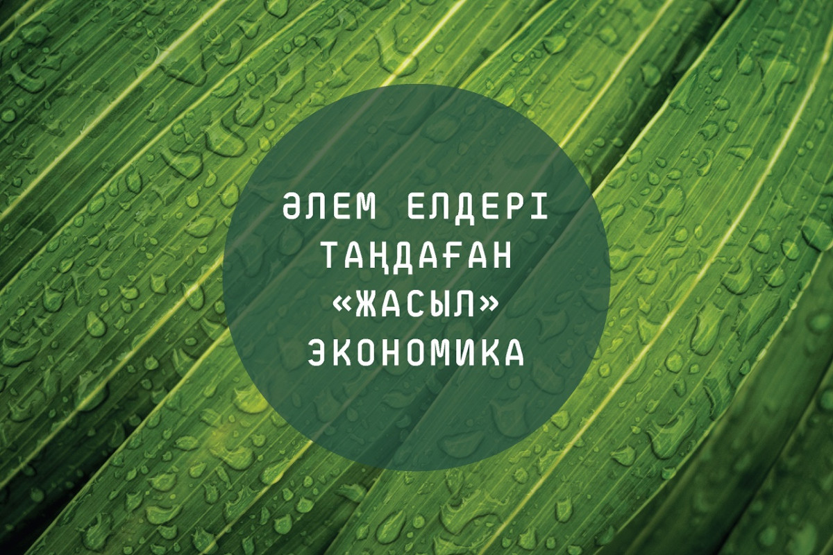 «Жасыл» экономиканың басты міндеті – қоршаған ортаға келетін зиянды азайту