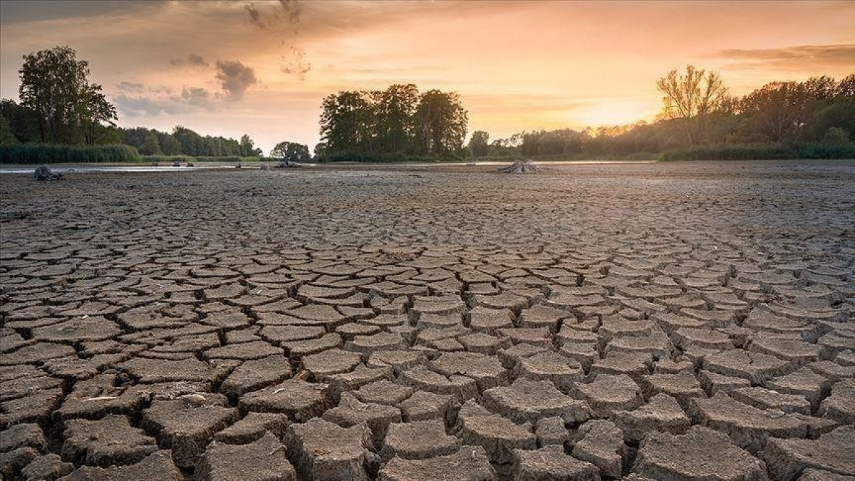 Negative trend in climate change to continue till 2060s 'anyhow': WMO head