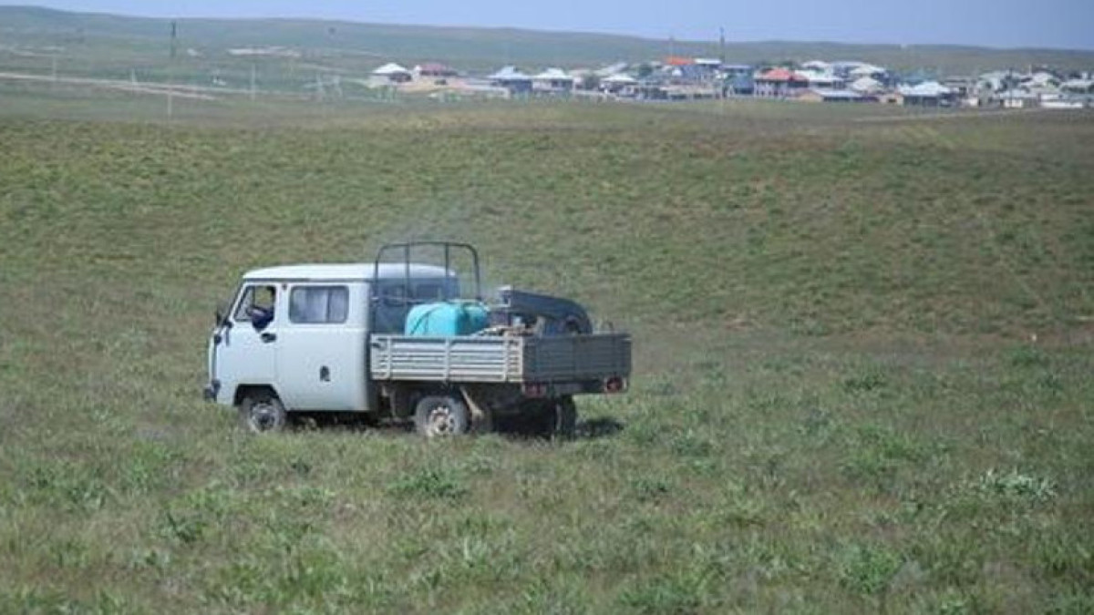 В Туркестанской области ведется химобработка против марокканской саранчи