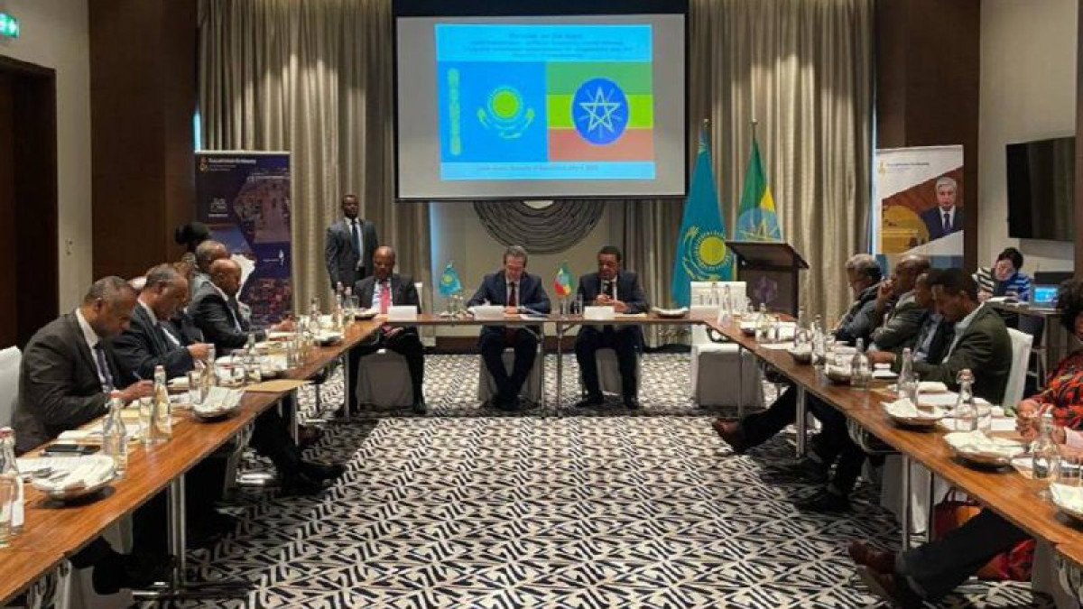 Priorities of New Kazakhstan are being studied in Ethiopia