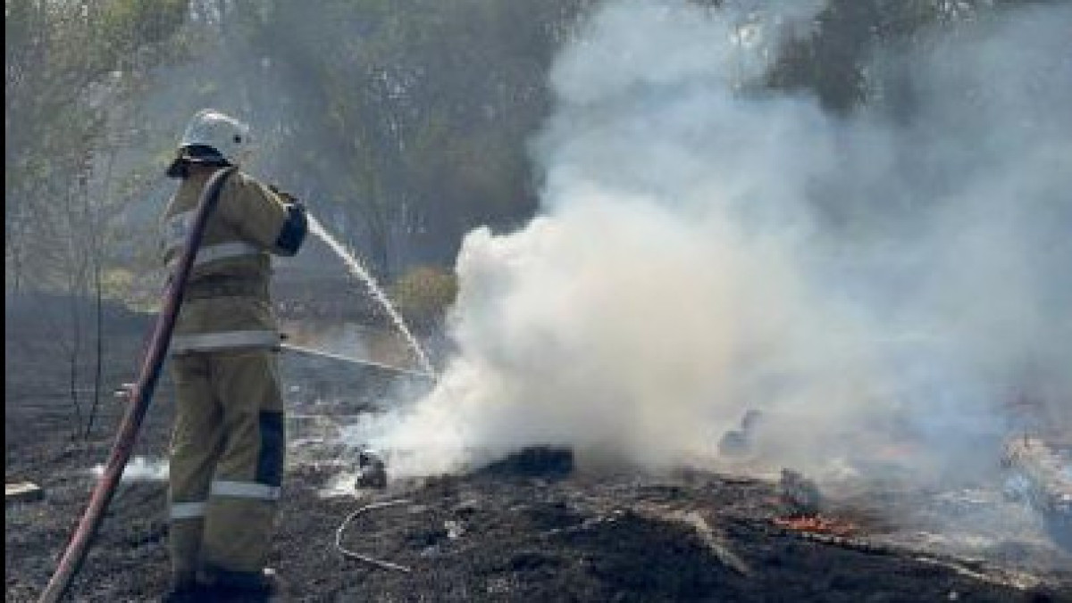 В Западно-Казахстанской области загорелся сухостой