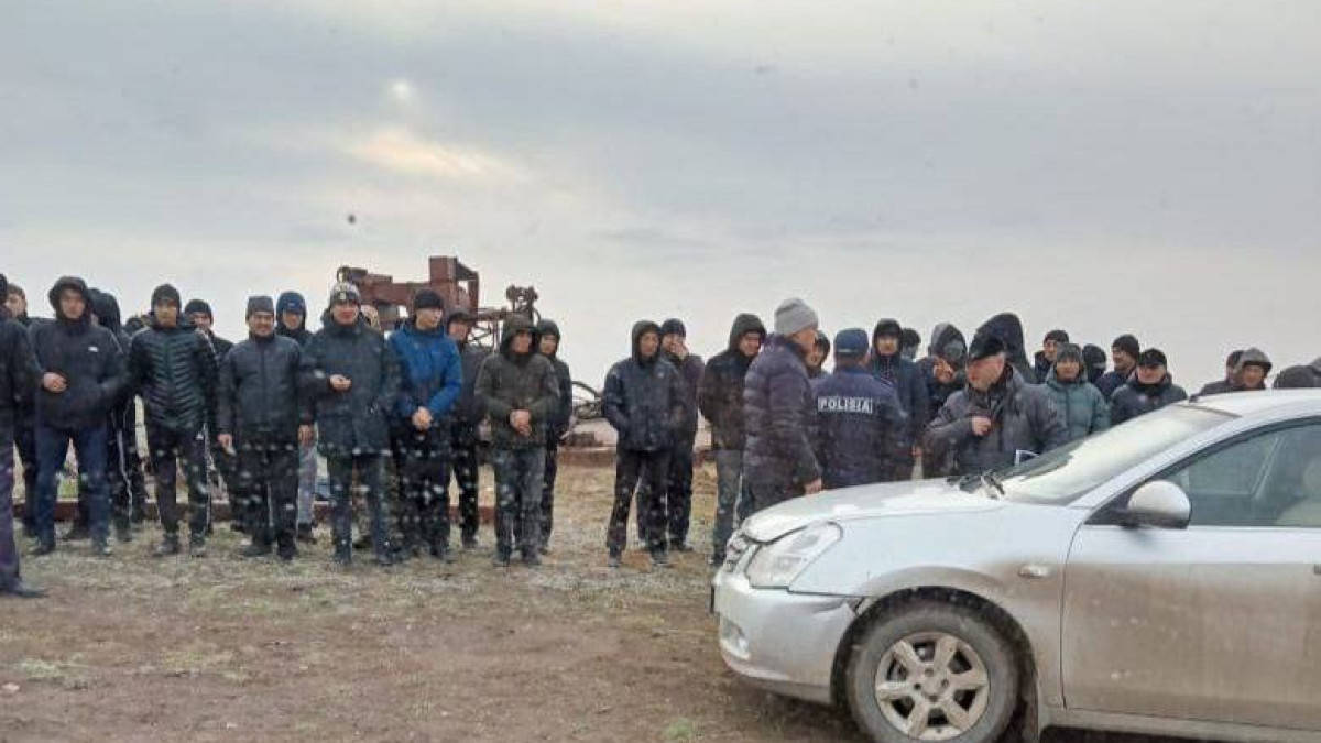 Павлодарлық полицейлер 7 жасар қызды іздестіріп жатыр