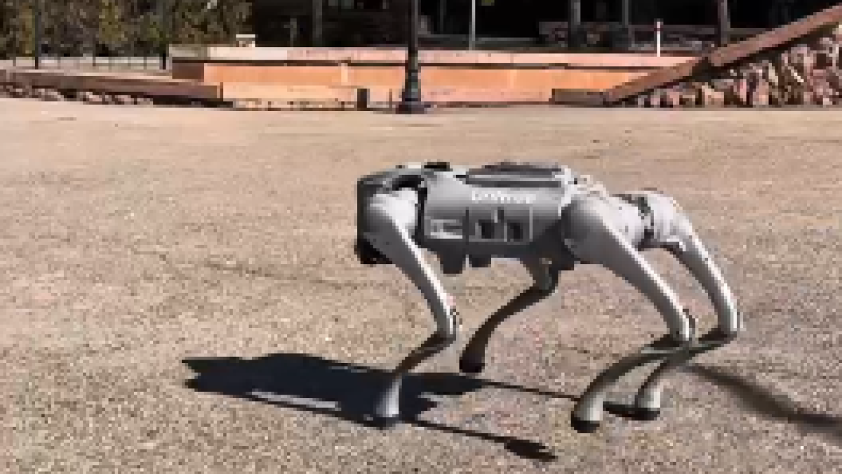 Robot dog walks around Almaty