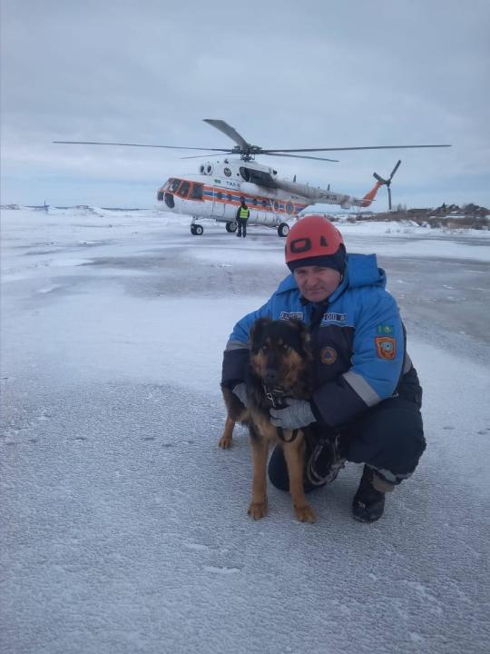 Dog rescuers in Turkey