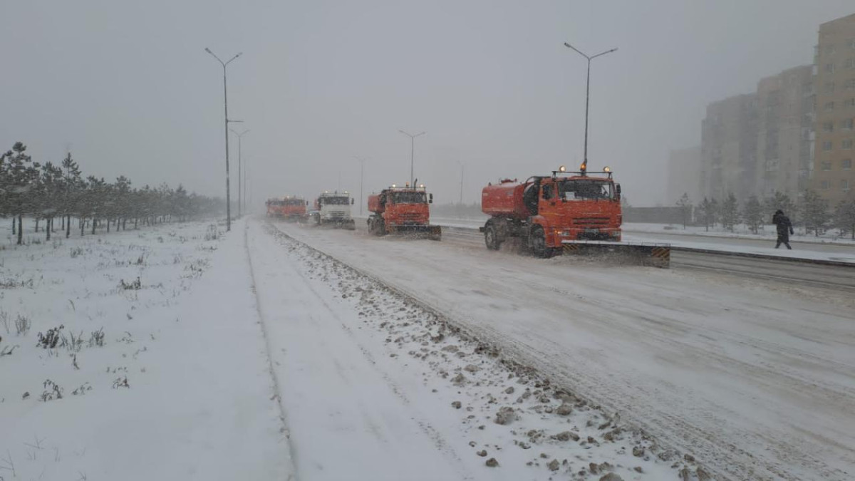 Елордада 2,5 мың жұмысшы қар тазалауға шықты