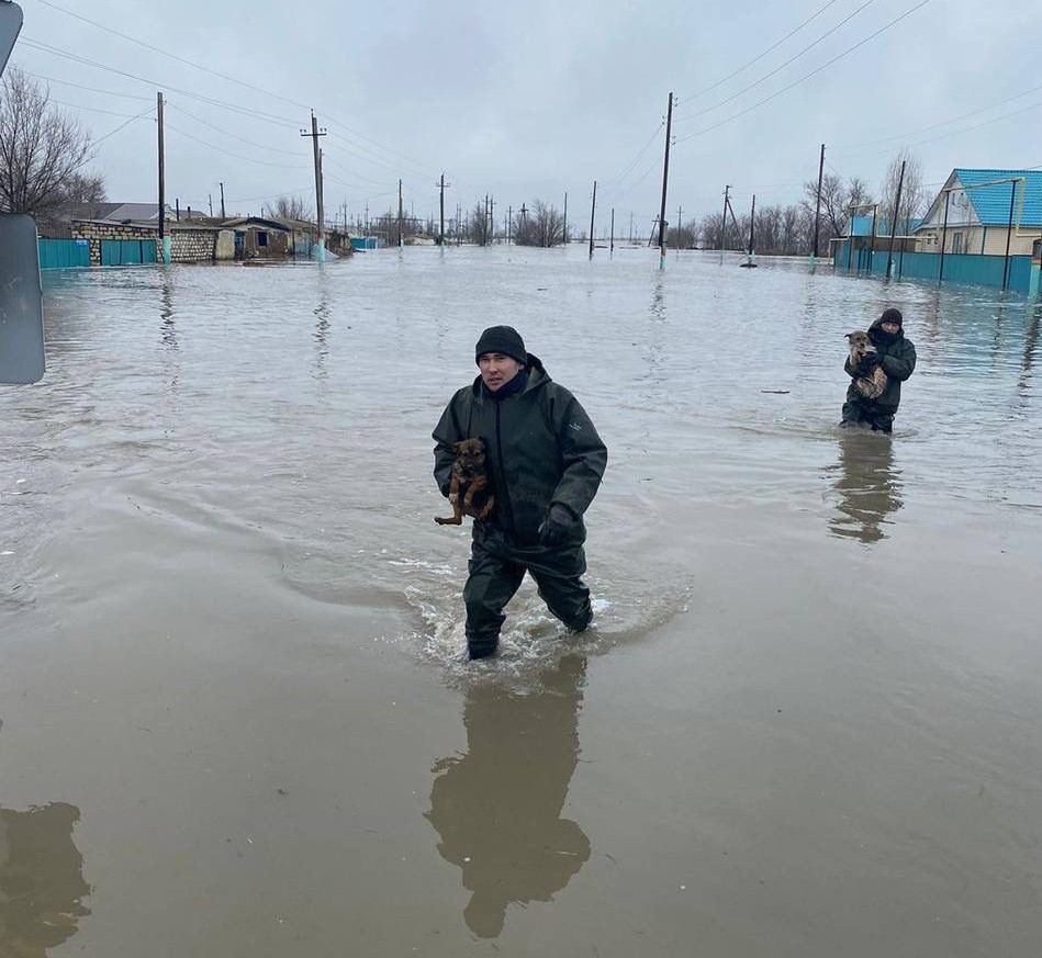 Белуардан су кешкен құтқарушылар жұртты сүйсінтті