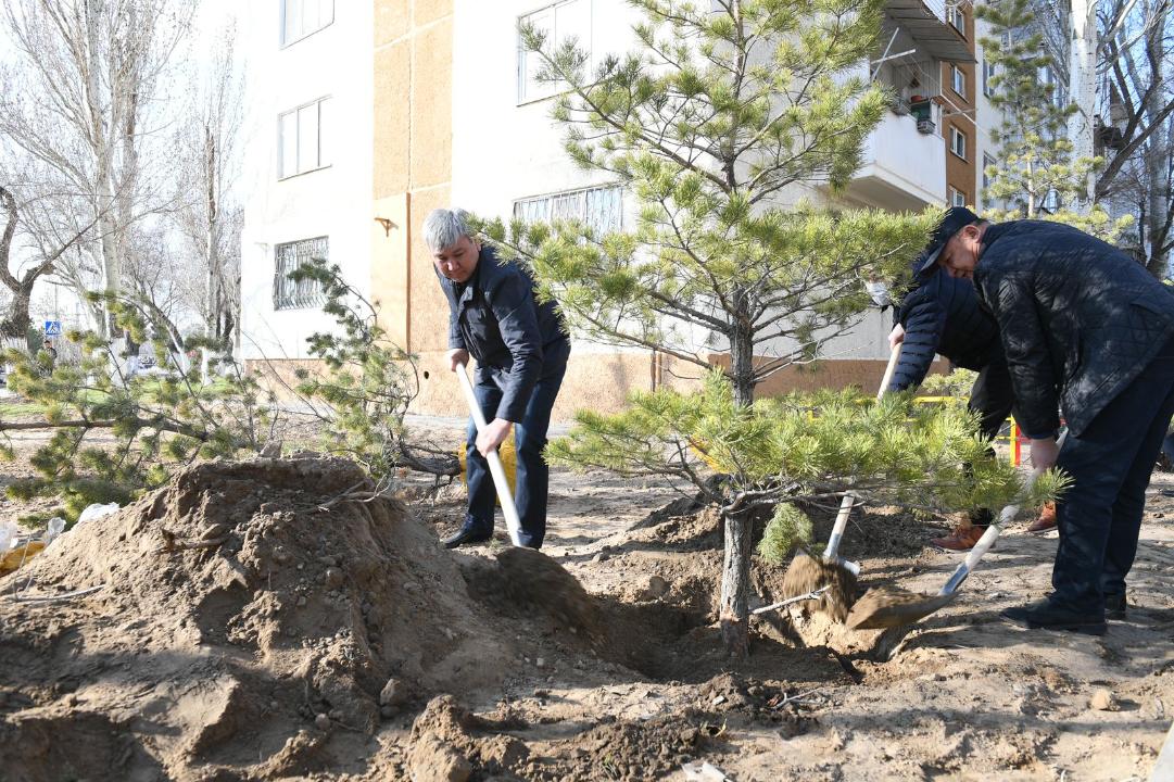 Празднование Наурыза в Алматинской области прошло в новом формате