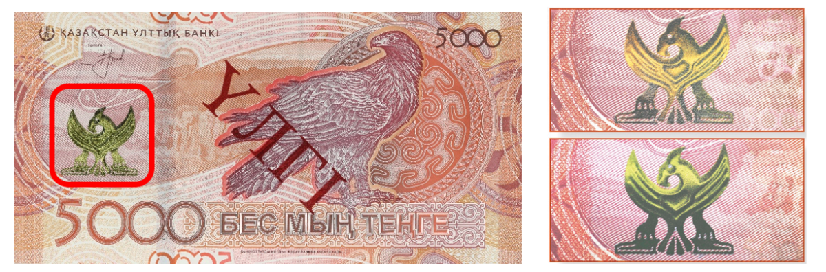 Новая 5000-ная банкнота: как отличить оригинал от подделки