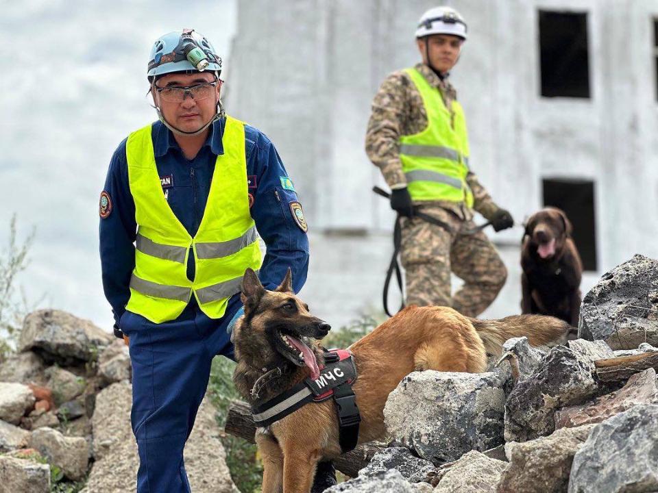 19 октября – профессиональный праздник спасателей Казахстана: достижения и итоги работы рассказали в МЧС