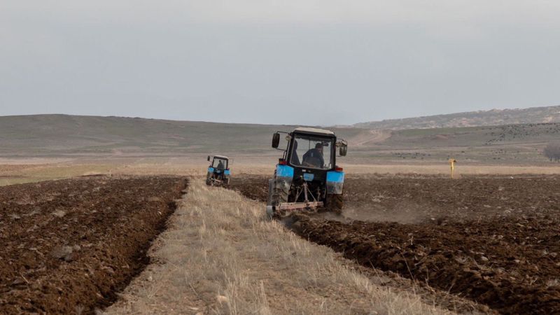 Общая посевная площадь в Казахстане увеличилась