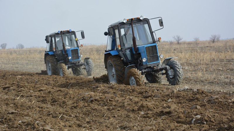 Общая посевная площадь в Казахстане увеличилась