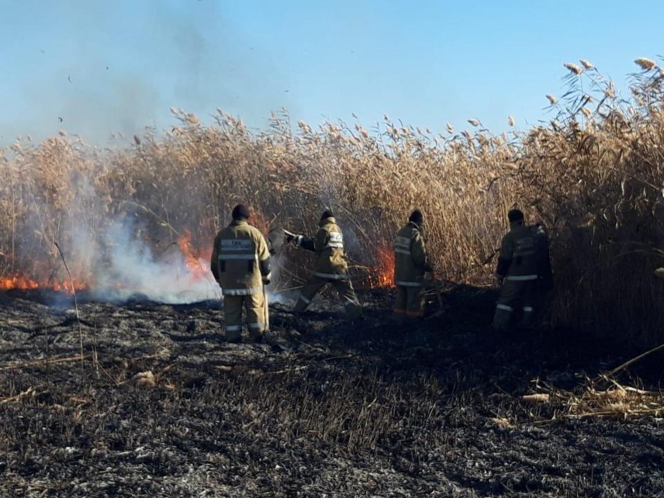 Возгорание камыша стало причиной смога в Атырау