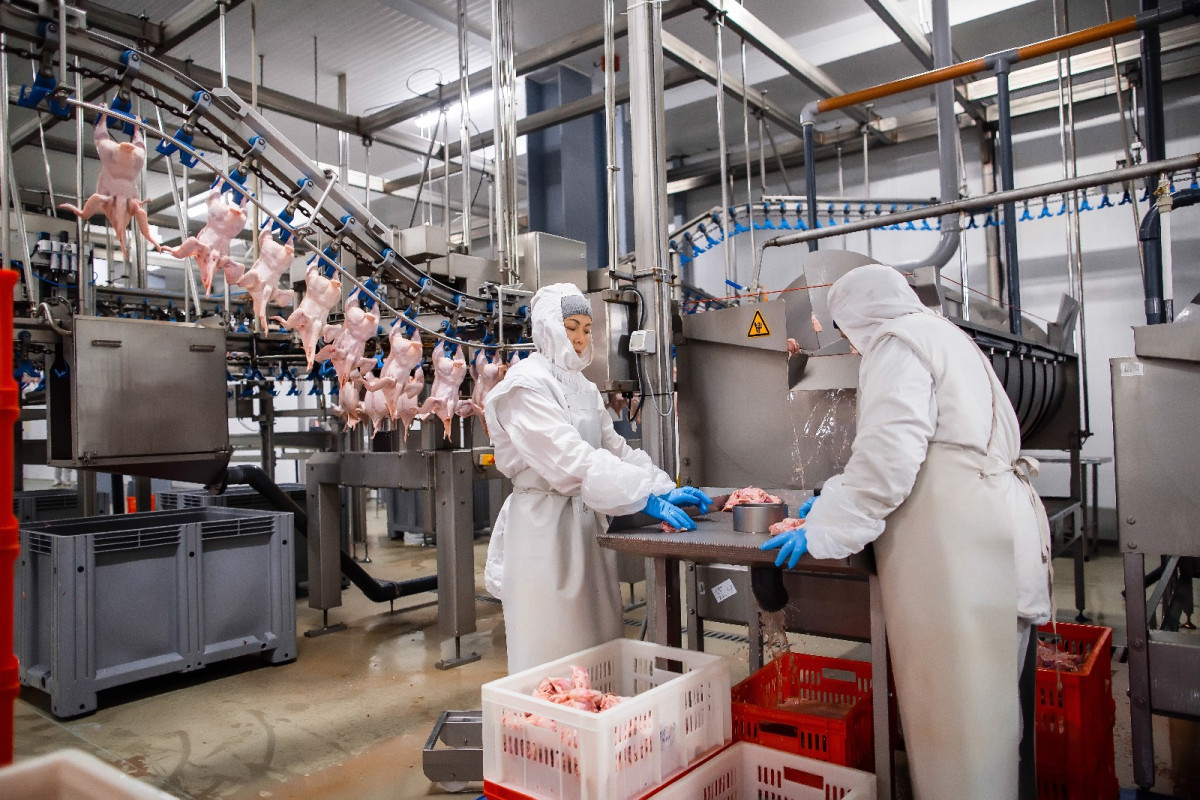 Poultry industry is boosting as a domestic demand increases