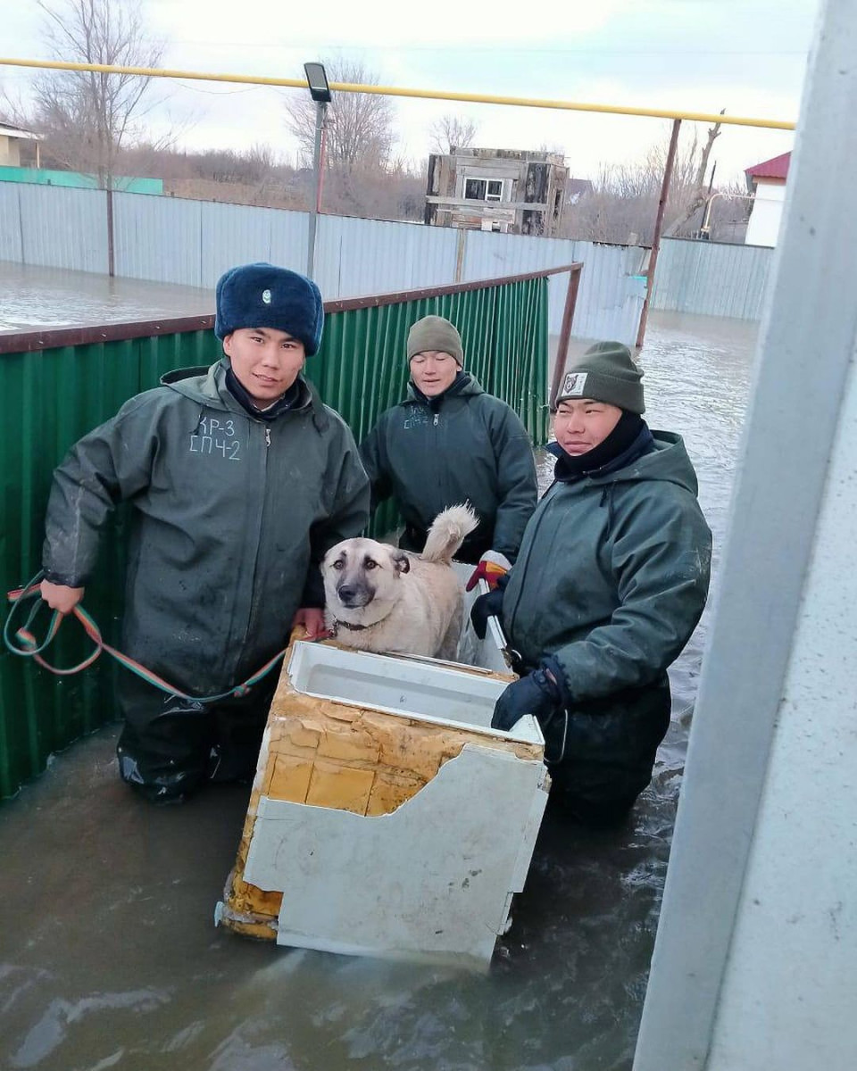 ЧСники Актюбинской области показали спасение животных