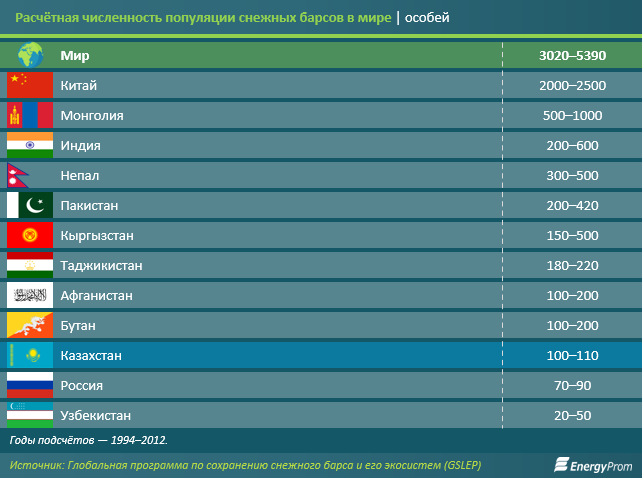 В Казахстане осталось меньше ста снежных барсов - аналитики