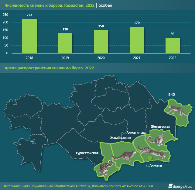 В Казахстане осталось меньше ста снежных барсов - аналитики