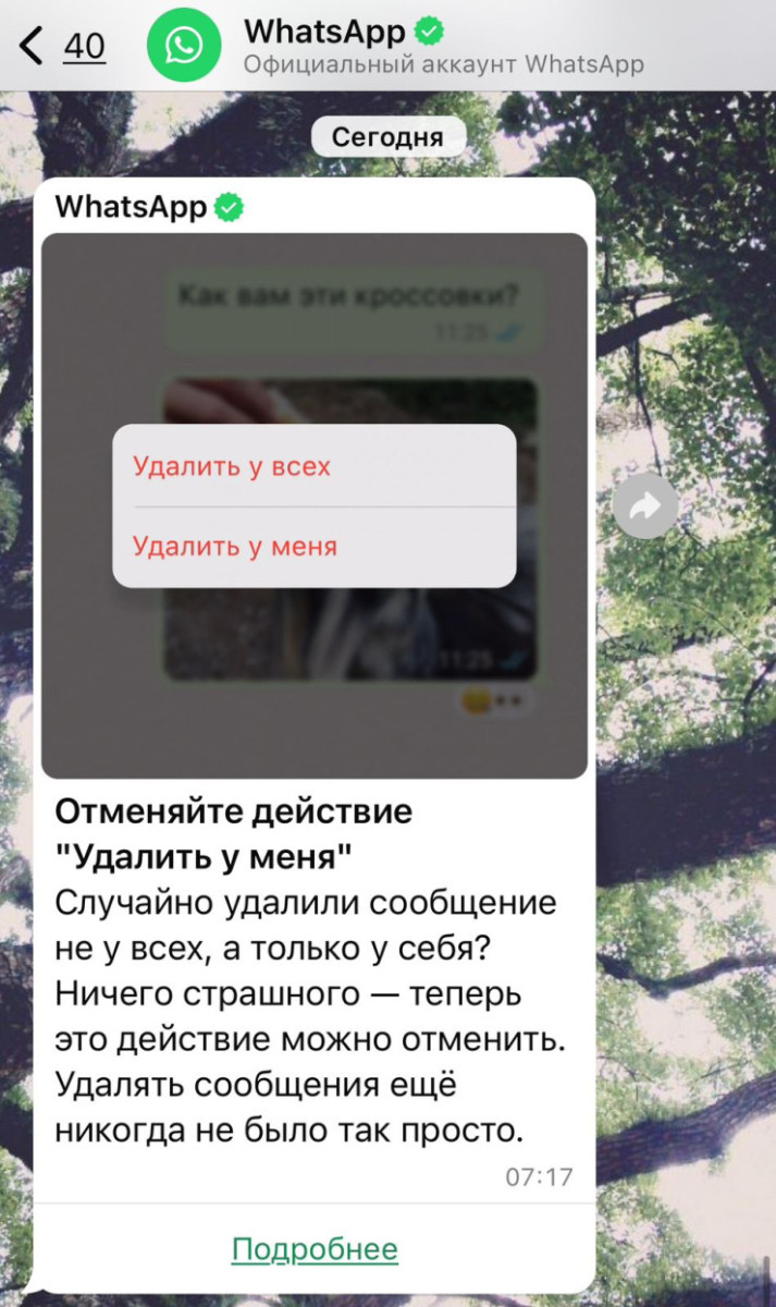 Новая функция в WhatsApp: отмена действия "Удалить у меня"