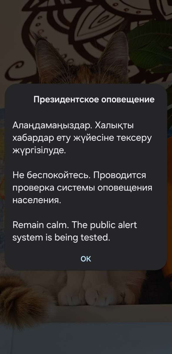 "Президентское оповещение" пришло алматинцам