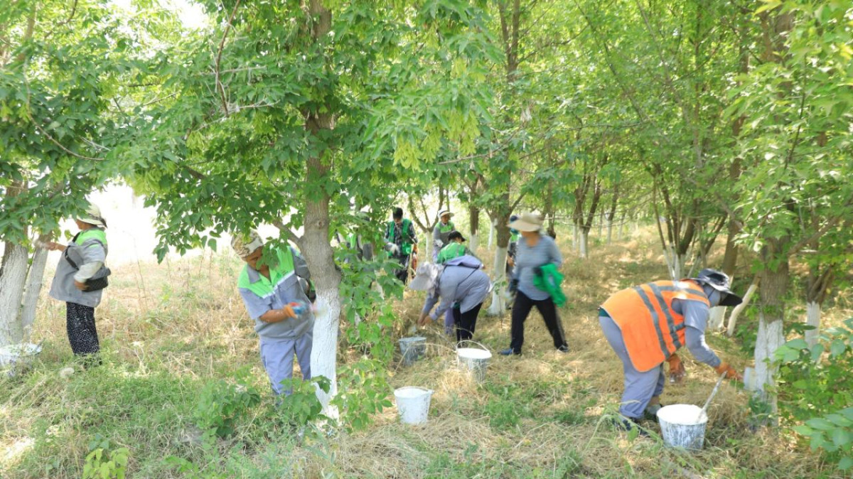 Как в Туркестанской области реализуется проект "Образцовый аул" в рамках программы "Таза Қазақстан"