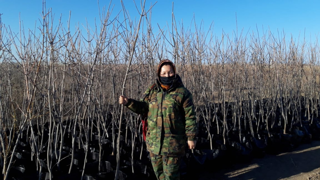 «Мой бизнес помогает развивать наш регион»