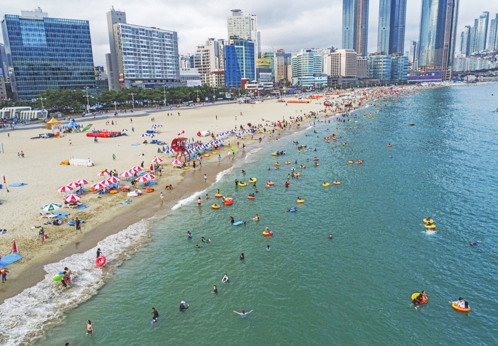 Discover Busan's Vibrant Culture Online