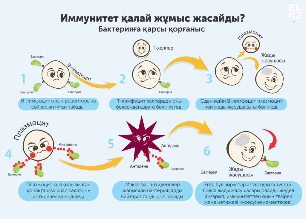 Иммунитет деген не және оның төмендеуінің себептері