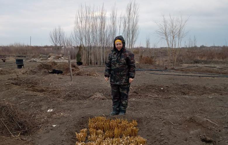 «Мой бизнес помогает развивать наш регион»