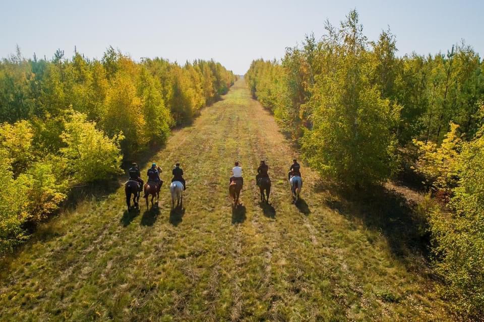  ﻿Село – наше все