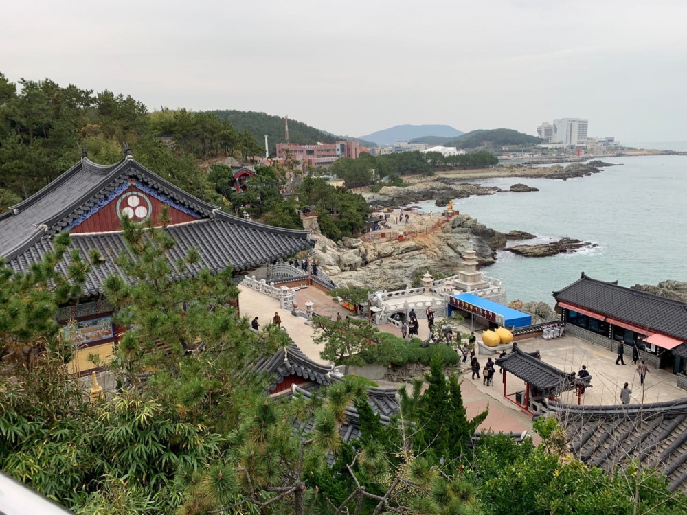 Best of Busan