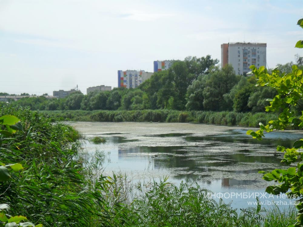 АНК ЗКО: Спасем всем миром уникальный уголок природы в центре Уральска