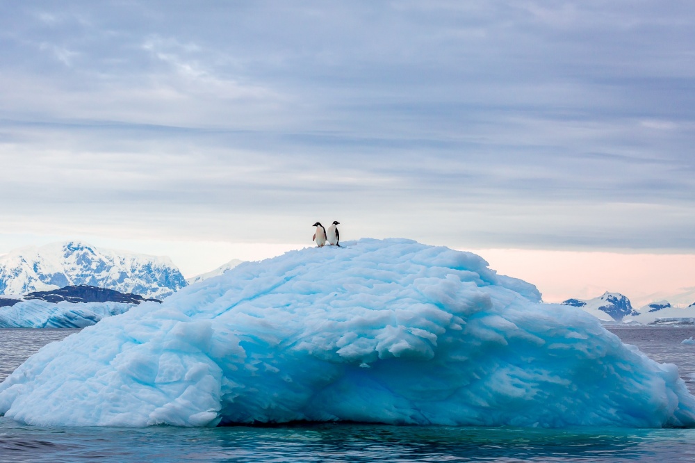 National Geographic-тің ең үздік фото суреттері жарияланды