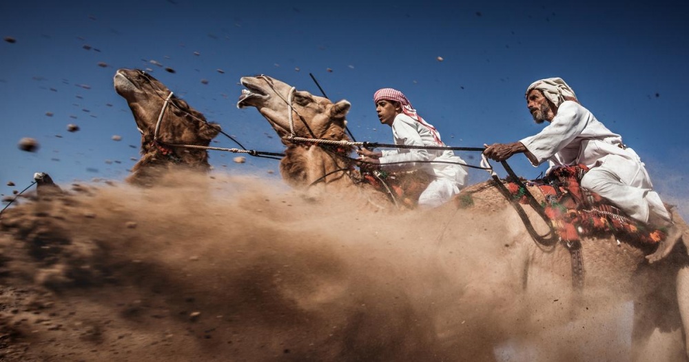 National Geographic-тің ең үздік фото суреттері жарияланды