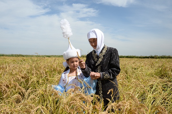 Сыр еліндегі астық жинау маусымы (ФОТО)